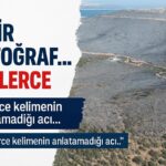 mmai ai varyant 1 f09f94a5 bir fotograf binlerce kelimenin