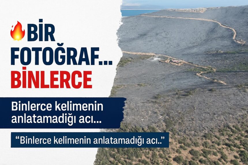 mmai ai varyant 1 f09f94a5 bir fotograf binlerce kelimenin