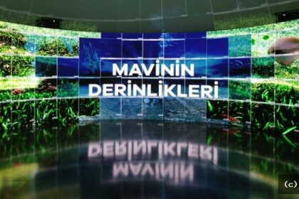 Akdeniz İklim Zirvesi Muğla'da Gerçekleşecek