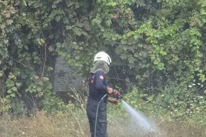 Menteşe'de Ot Yangını: 2 Dönüm Alan Zarar Gördü